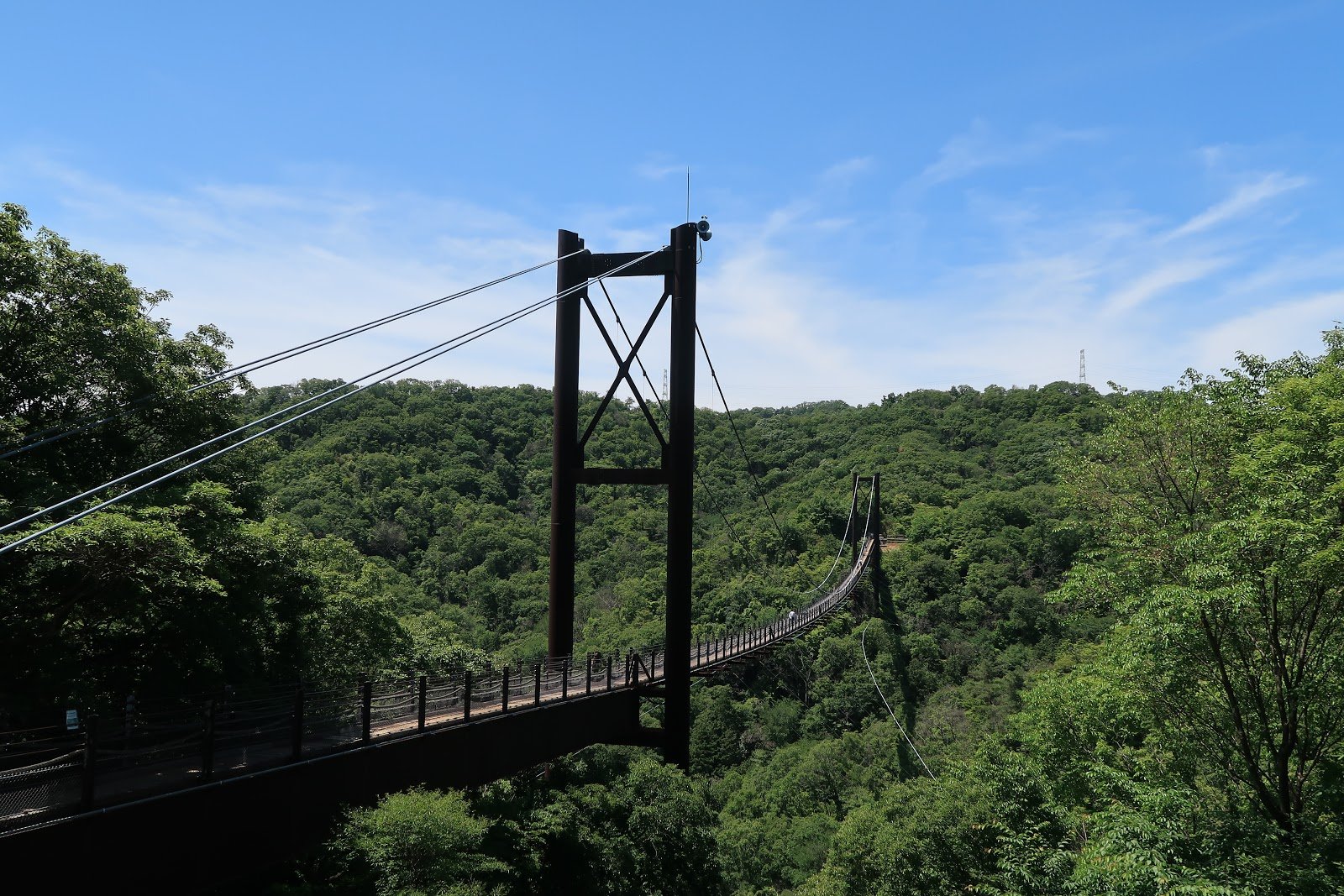 🌳 부민의 숲 호시다 공원(후민노모리 호시다엔치)